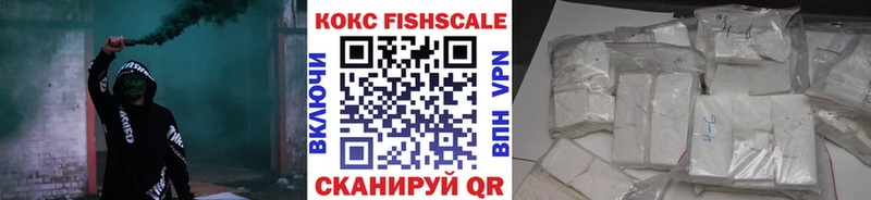 Cocaine FishScale  продажа наркотиков  Новоузенск 