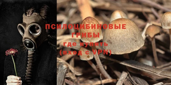а пвп мука Арсеньев