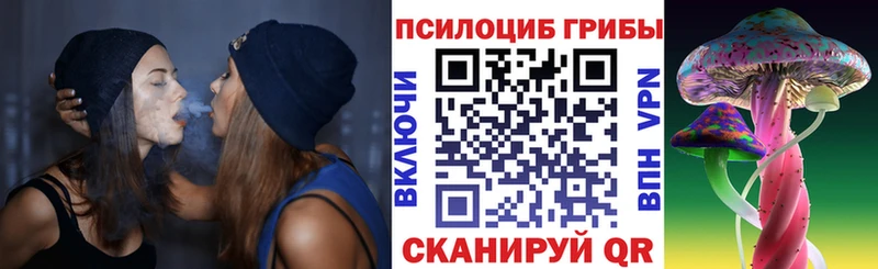 Галлюциногенные грибы Psilocybine cubensis  площадка формула  Новоузенск 